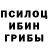 Галлюциногенные грибы Cubensis Gayatri Rawat