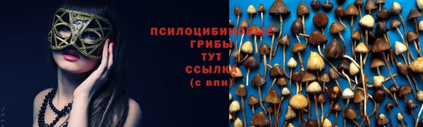 спайс Володарск